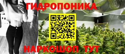 прущие грибы Конаково