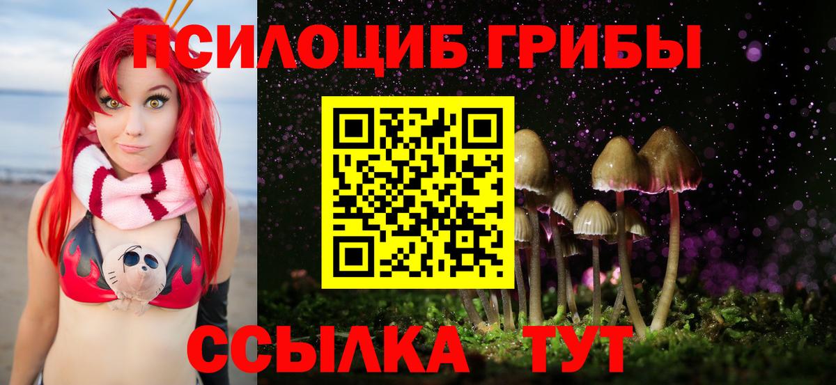 Галлюциногенные грибы мицелий  Псилоцибиновые грибы мицелий  Вход с VPN  Каменск-Шахтинский 